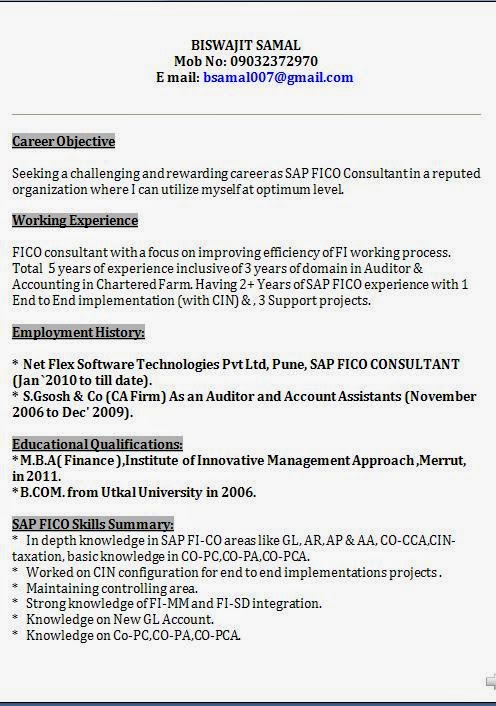 Sap fico support project resume